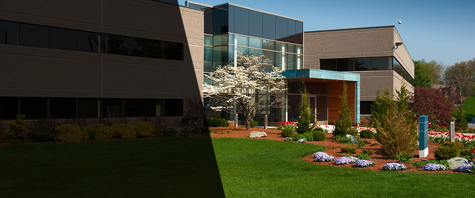 Daly City Landscapers