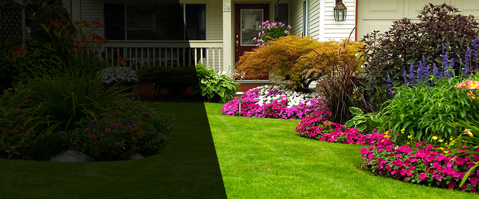 Daly City Landscapers
