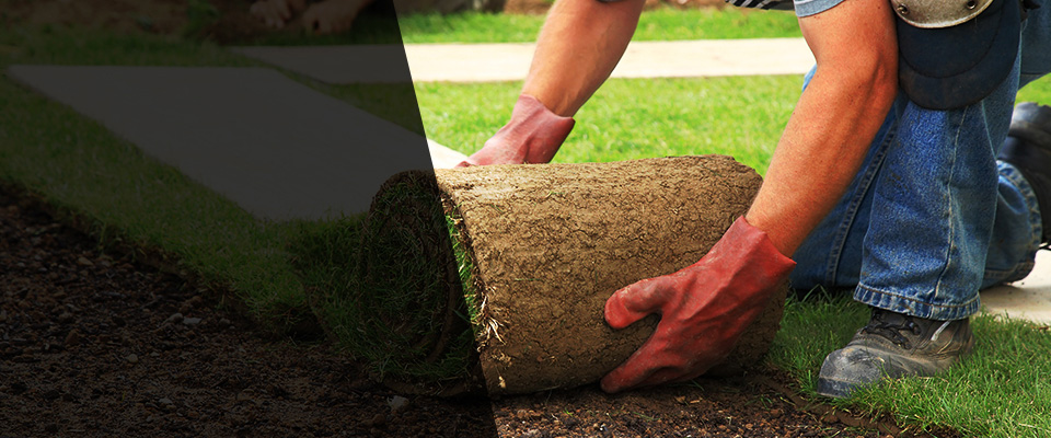 Daly City Landscapers